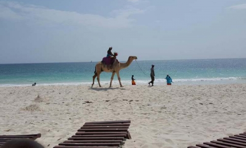 Southern Palms Beach Resort, karpaten.ro