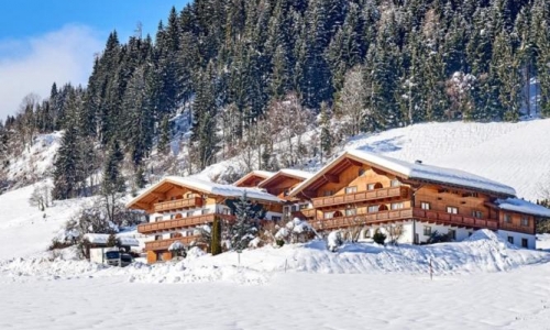 Aparthotel Alpin Apart, karpaten.ro