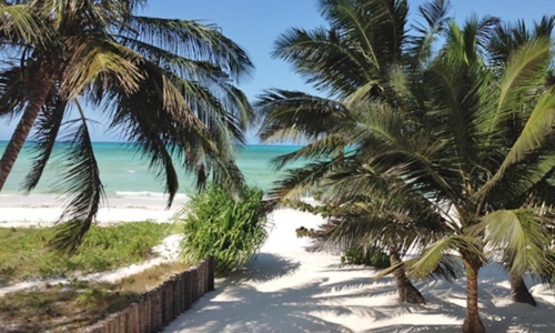 Pongwe Bay Resort, karpaten.ro
