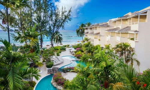 Bougainvillea Barbados, karpaten.ro