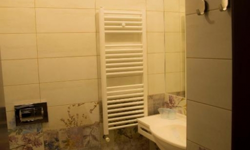 Hotel Olanesti Spa Medical, karpaten.ro, 2