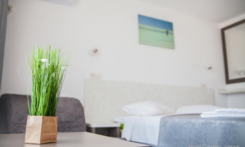 Hotel Carmen, karpaten.ro, 2