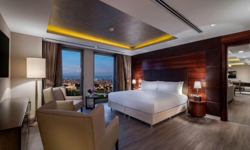 Hotel DoubleTree by Hilton Istanbul Topkapi, karpaten.ro, 2