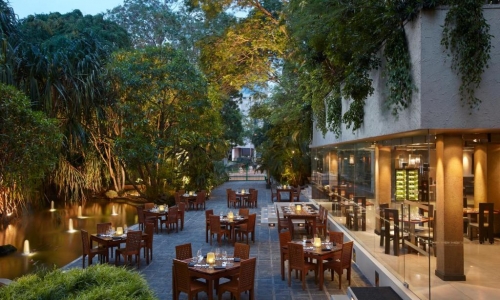 Cinnamon Grand, karpaten.ro, 2