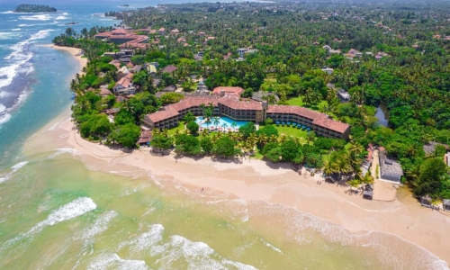 The Palms, karpaten.ro, 2