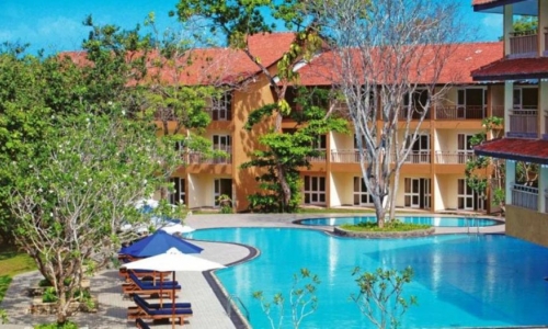 The Palms, karpaten.ro