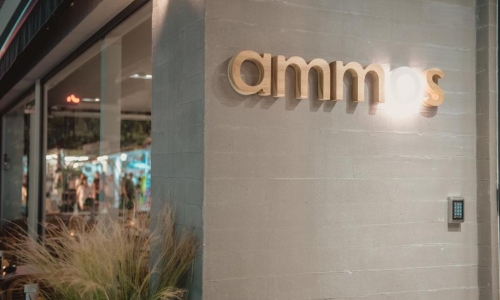 Ammos Beach Seaside Luxury Suites Hotel, karpaten.ro