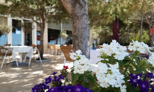 Hotel Edart, karpaten.ro, 2