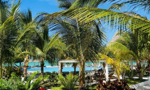 Hotel Jambo Resort by Mambo, karpaten.ro, 2